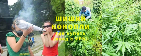 PSILOCYBIN Магадан
