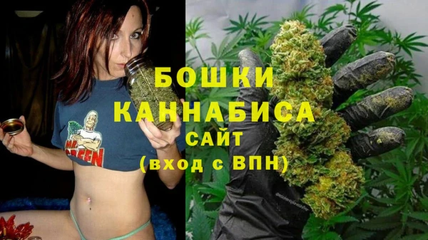 PSILOCYBIN Магадан