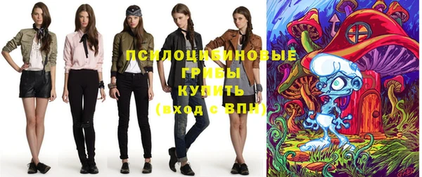 PSILOCYBIN Магадан