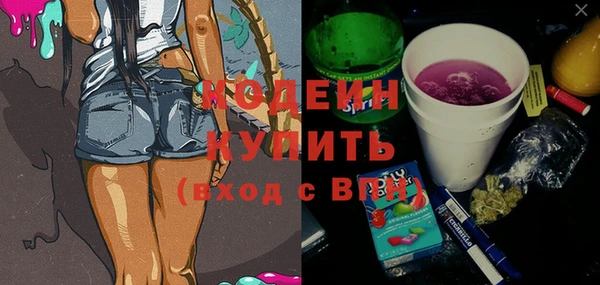 индика Вязьма