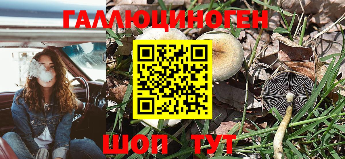 Миллерово  где купить наркотик  Вход с VPN  Псилоцибиновые грибы мицелий 